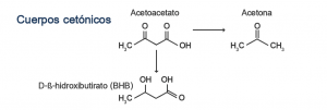 Fórmula química de los cuerpos cetónicos. Acetoacetato, acetona y beta-hidroxibutirato. Fórmula química de los cuerpos cetónicos